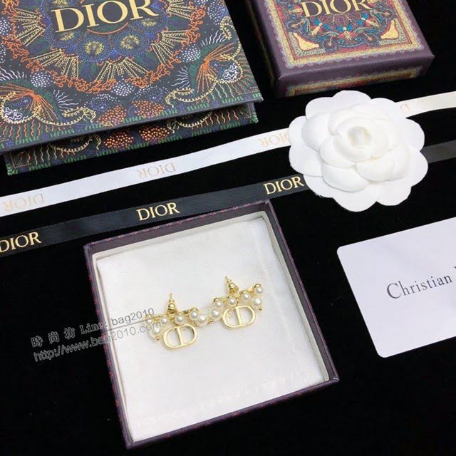 Dior飾品 迪奧經典熱銷新品CD字母耳釘耳環  zgd1414